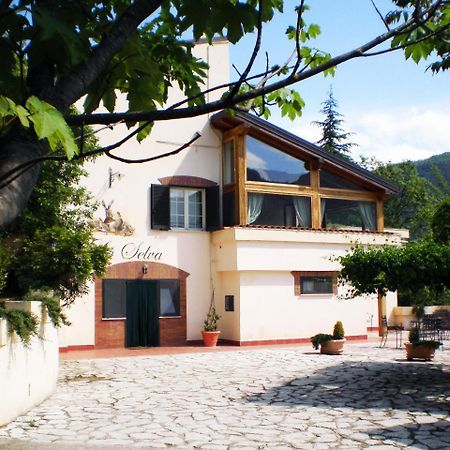 Agriturismo La Selva Rieti Zewnętrze zdjęcie